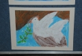dove-of-peace